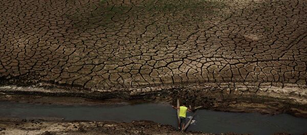 Sequía - Sputnik Mundo