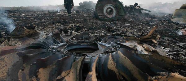 Lugar del siniestro del Boeing MH17 (archivo) - Sputnik Mundo