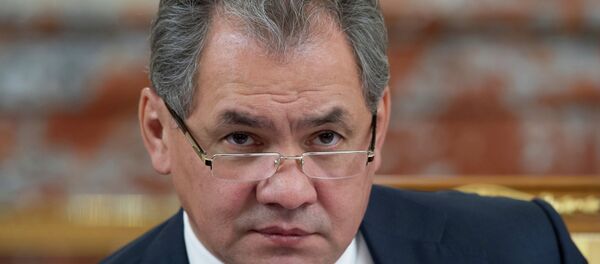 Serguéi Shoigú, ministro de Defensa de Rusia - Sputnik Mundo