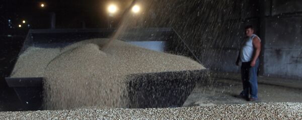 Cosecha de grano - Sputnik Mundo