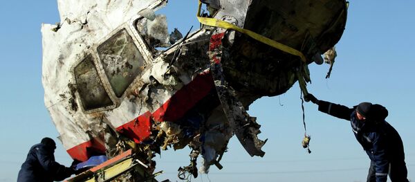 Restos del avión malasio derribado en el este de Ucrania Restos del avión malasio derribado en el este de Ucrania - Sputnik Mundo