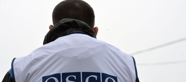 Varios países retiran a sus observadores de la misión de la OSCE en Donbás - Sputnik Mundo