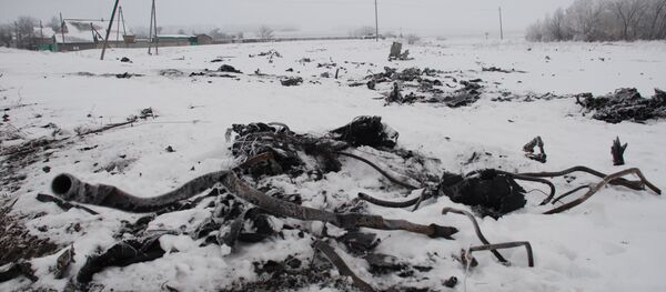 Место крушения малайзийского Boeing 777 - Sputnik Mundo