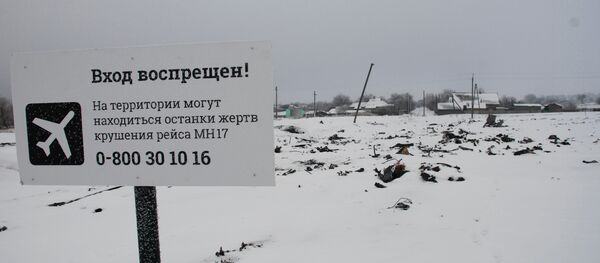 Lugar del siniestro del Boeing malasio - Sputnik Mundo