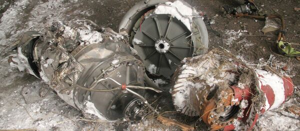 Lugar del siniestro del Boeing malasio en Donbás - Sputnik Mundo