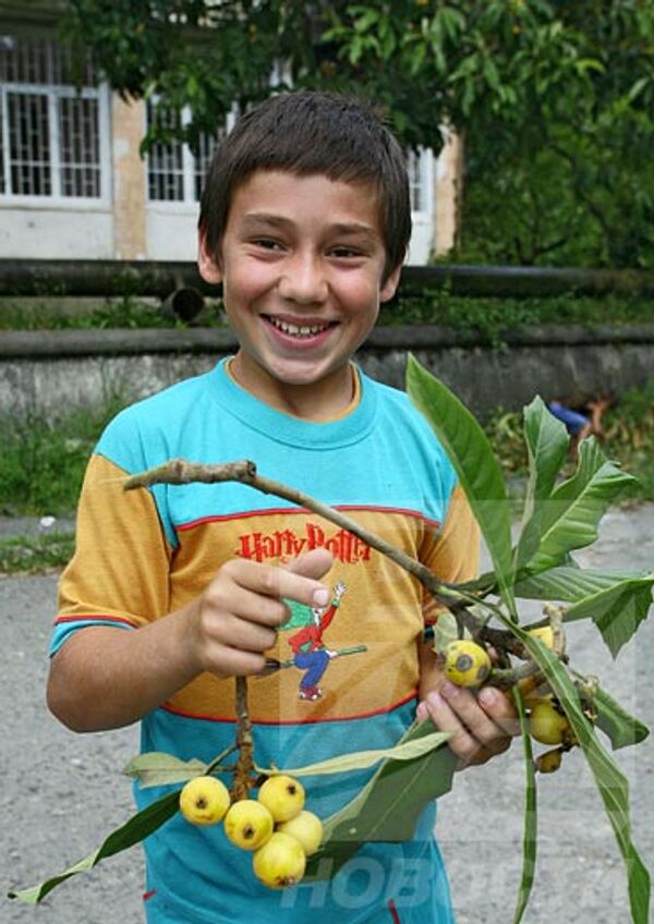 RIA Novosti, Alexey Nikolsky - Sputnik Mundo